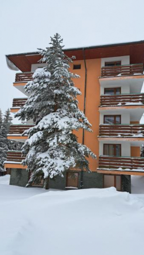 Apartmán Pálenica II